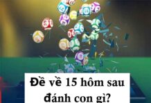 Dự đoán đề về 15 hôm sau đánh con gì theo phương pháp khác