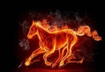 Gợi ý con số may mắn ngày 27/4/2026 tuổi Ngọ đổi vận