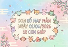 Phân tích con số may mắn 12 con giáp ngày 01/06/2026