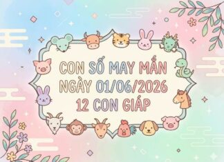 Phân tích con số may mắn 12 con giáp ngày 01/06/2026
