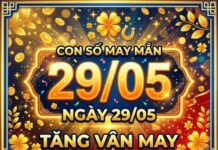 Khám phá con số may mắn 12 con giáp ngày 29/05 thứ 6 hôm nay chính xác