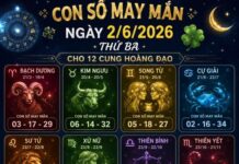 Con số may mắn ngày 2/6/2026 thứ ba cho 12 cung hoàng đạo