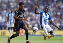 Nhận định chuyên gia Leeds United vs Brighton 19h00 hôm nay