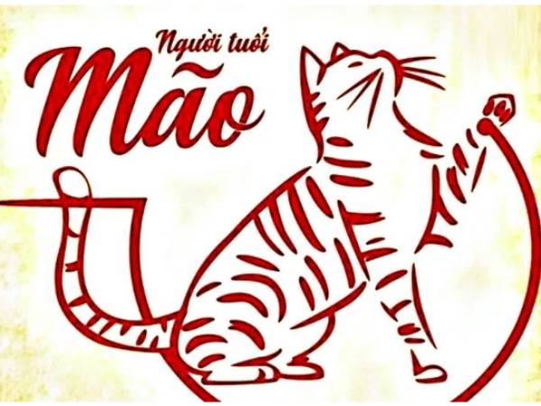 Tử vi tuổi Mão ngày 31/5/2026 dự báo điều gì?